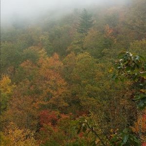 Meet your Posher, Rochelle